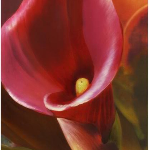 Meet your Posher, Vilma - Picture 6 of 7